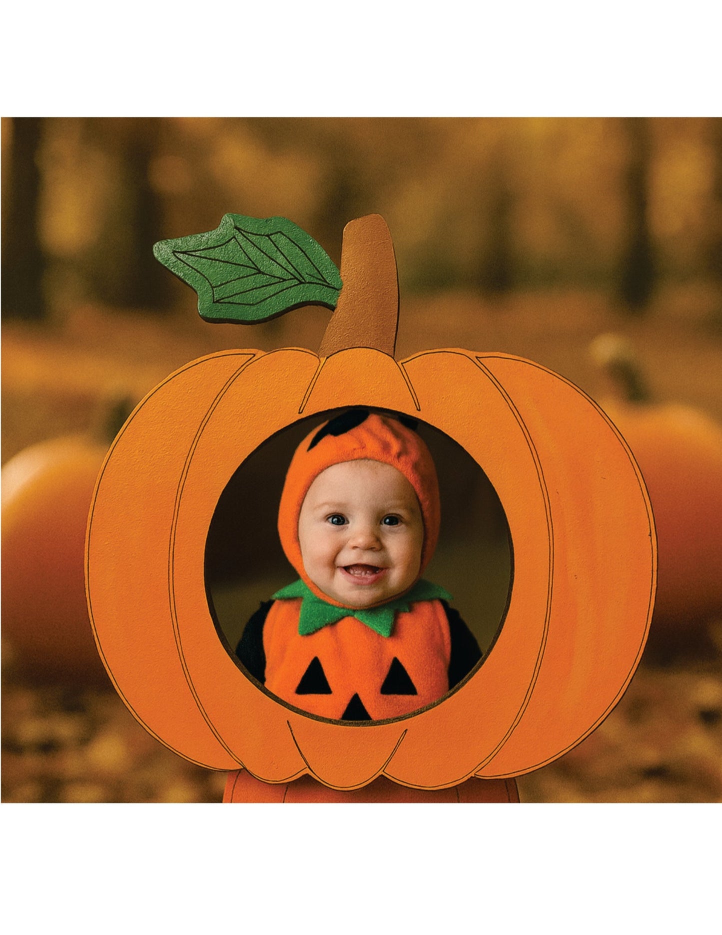 Pumpkin Round Magnet Frames